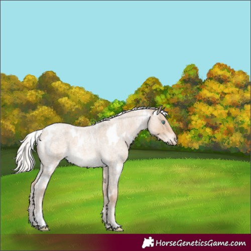 Horse Color:White Spotted Silver Perlino Roan 