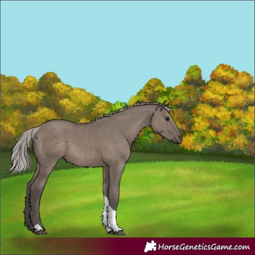 Horse Color:Silver Grullo Mushroom Tobiano 