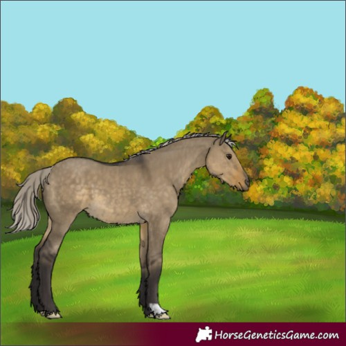 Horse Color:Silver Smoky Grullo Mushroom 
