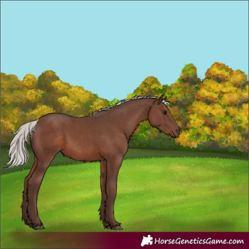 Horse Color:Silver Black Mushroom 