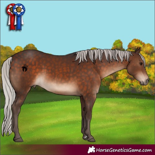 Horse Color:Silver Brown 