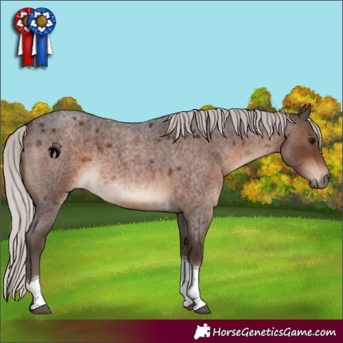Horse Color:Silver Brown Roan Tobiano 