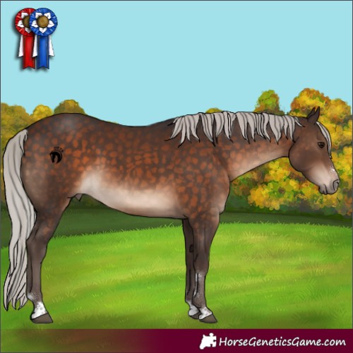 Horse Color:Silver Brown 