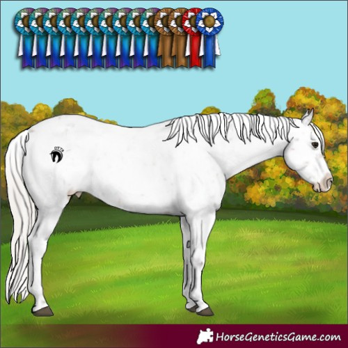 Horse Color:Silver Brown Roan Snowflake Varnish 