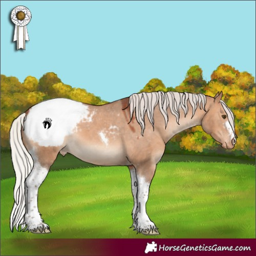Horse Color:Silver Brown Dun Tobiano Appaloosa 