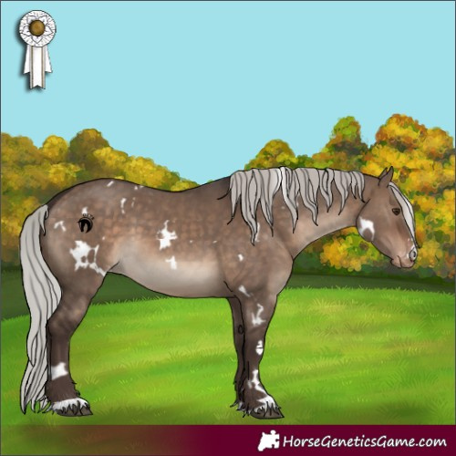 Horse Color:White Spotted Silver Brown Dun Appaloosa 