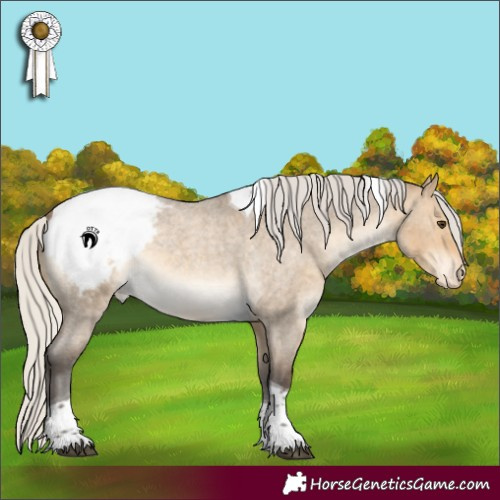 Horse Color:Silver Buckskin Roan Dun Tobiano Appaloosa 