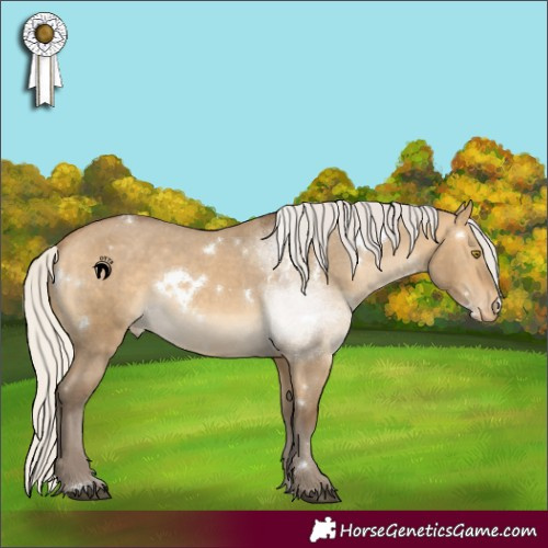 Horse Color:White Spotted Silver Buckskin Dun Appaloosa 