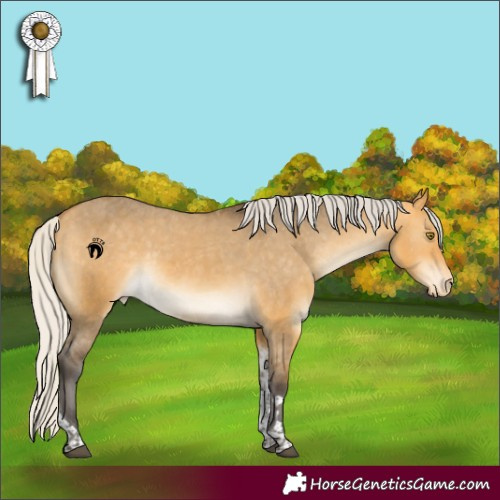 Horse Color:Silver Buckskin Dun Tobiano Appaloosa 