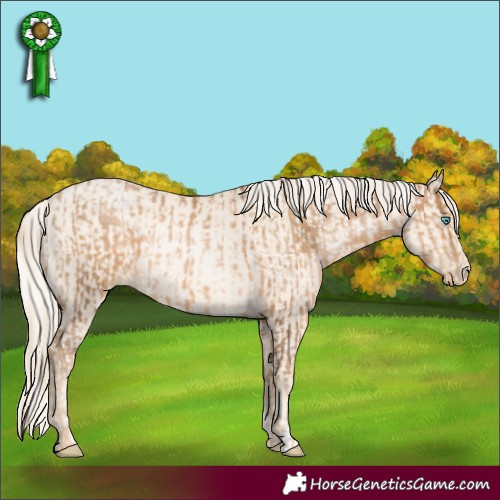 Horse Color:Chocolate Palomino Pearl Rabicano  and Gold Cream Champagne Pearl Rabicano 