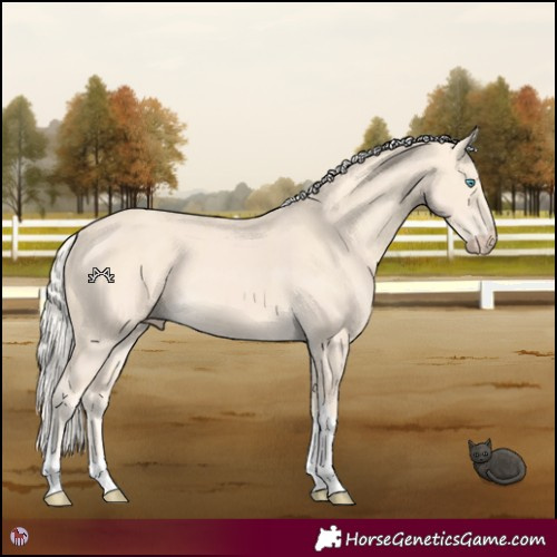 Horse Color:Cremello Tobiano 