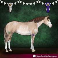 Horse Color:Brown Pearl Dun Sabino Rabicano 