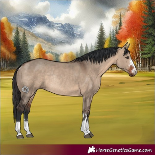 Horse Color:Bay Dun Rabicano 