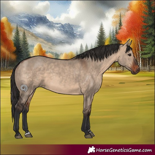 Horse Color:Bay Dun Rabicano 