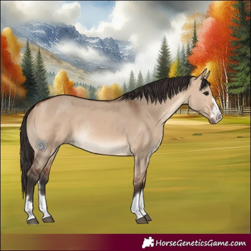 Horse Color:Bay Dun Rabicano 