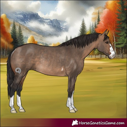 Horse Color:Brown Dun Rabicano 