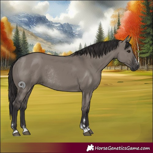 Horse Color:Smoky Grullo Rabicano