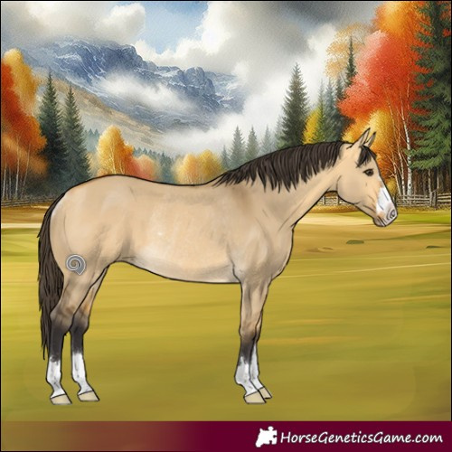 Horse Color:Buckskin Dun Rabicano 