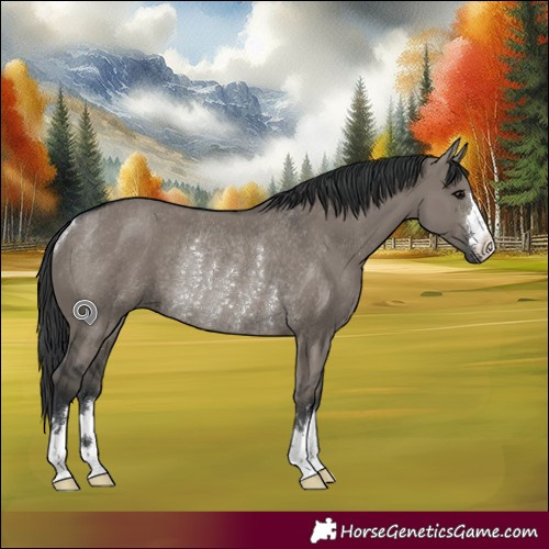Horse Color:Grullo Rabicano 