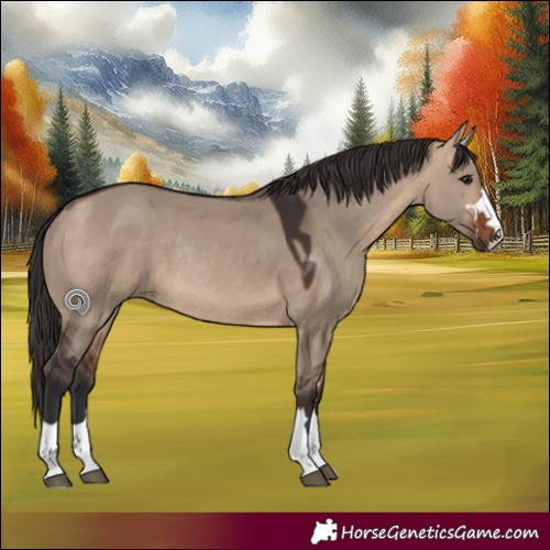 Horse Color:Bay Dun Rabicano 
