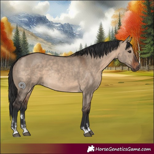 Horse Color:Brown Dun Rabicano 