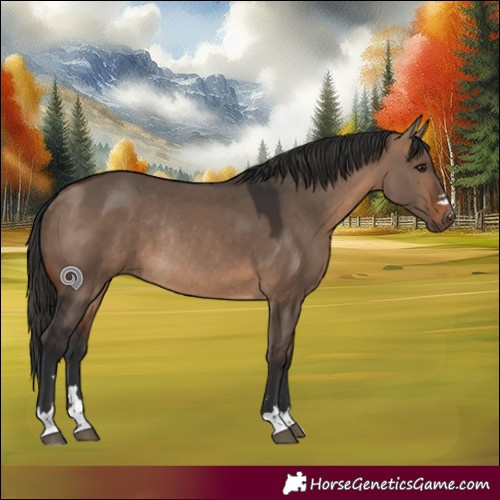 Horse Color:Brown Dun Rabicano 
