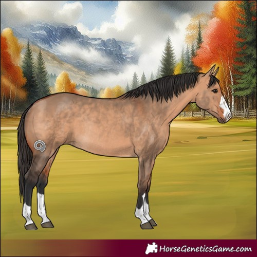 Horse Color:Bay Dun Rabicano 