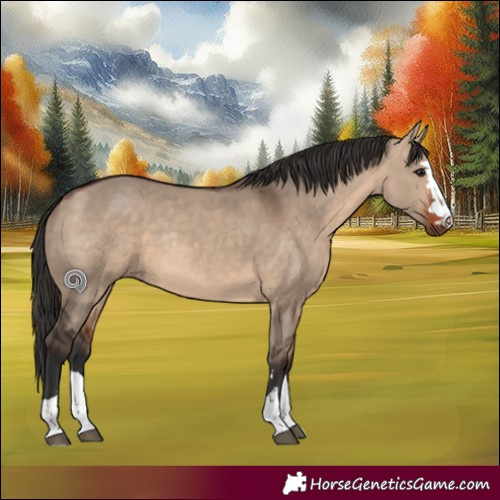 Horse Color:Bay Dun Rabicano 