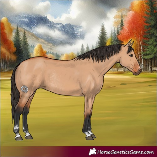 Horse Color:Bay Dun Rabicano