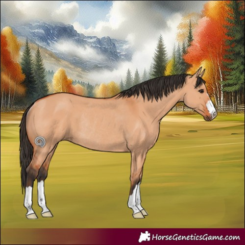 Horse Color:Bay Dun Rabicano