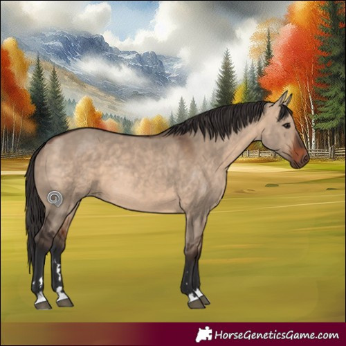 Horse Color:Bay Dun Rabicano 