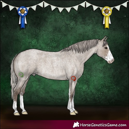Horse Color:Silver Grullo Roan Sabino 