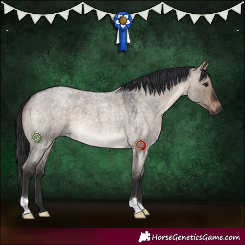 Horse Color:Brown Roan Dun 
