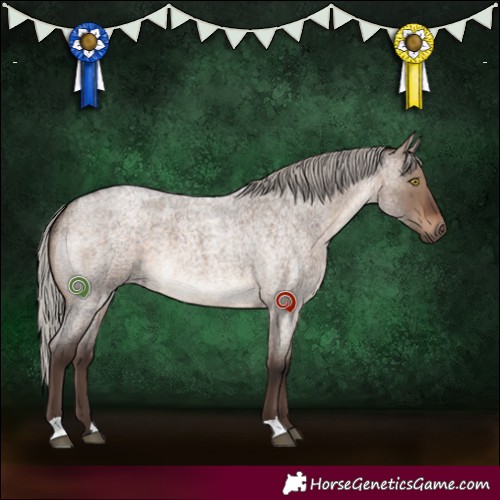 Horse Color:Silver Brown Roan Dun 