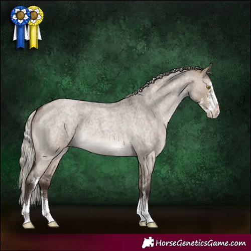 Horse Color:Silver Brown Roan Dun Sabino 