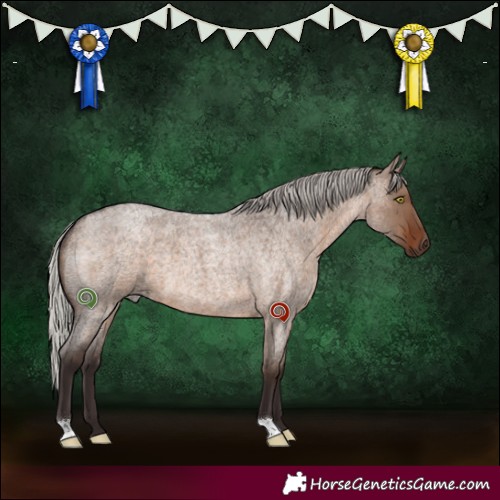 Horse Color:Silver Brown Roan Dun 