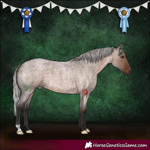 Horse Color:Silver Brown Roan Dun 