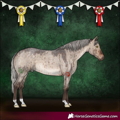 Horse Color:Silver Brown Roan Dun Brindle 