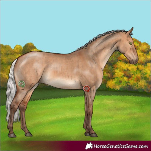 Horse Color:Silver Bay Dun Brindle 