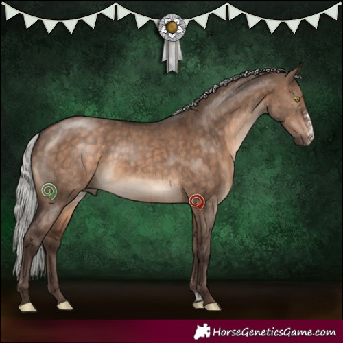 Horse Color:Silver Brown Dun Sabino Brindle 