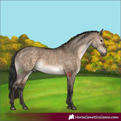 Horse Color:Brown Dun Brindle 