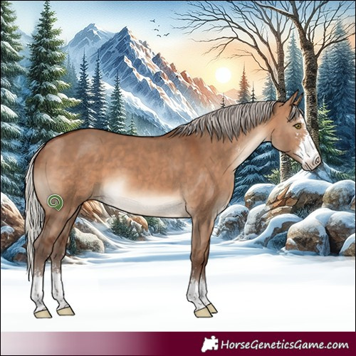 Horse Color:Silver Brown Dun Sabino 