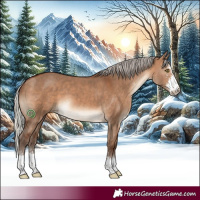 Horse Color:Silver Brown Dun Sabino 