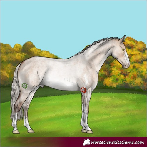Horse Color:Silver Brown Roan Dun Sabino Brindle 