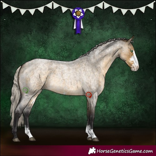 Horse Color:Silver Buckskin Roan Dun Sabino 