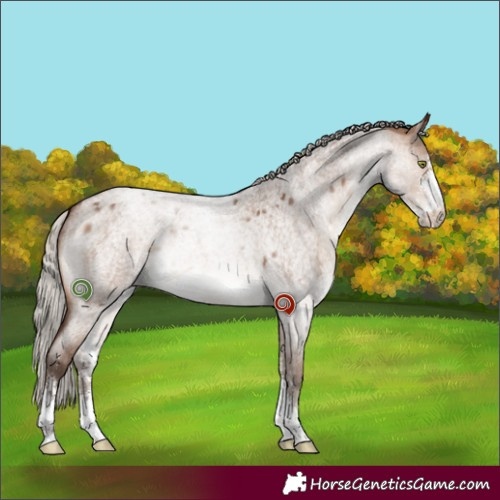 Horse Color:Silver Brown Roan Dun Sabino 