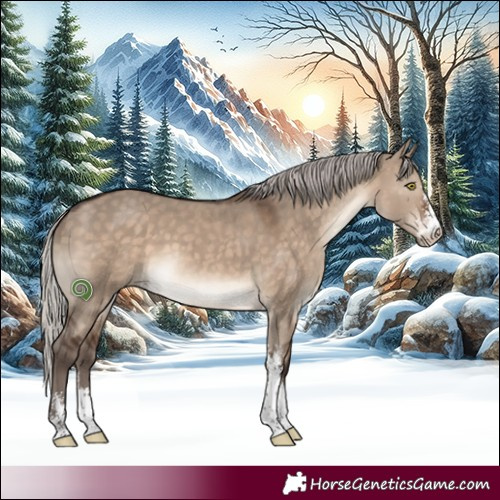 Horse Color:Silver Brown Dun Sabino 