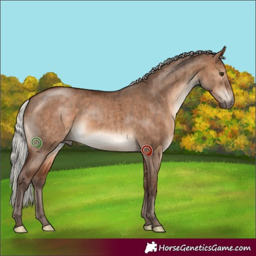 Horse Color:Silver Brown Dun Sabino Brindle 
