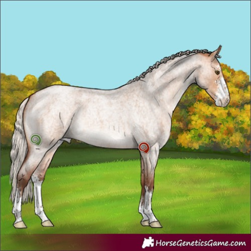 Horse Color:Silver Bay Roan Dun Sabino 