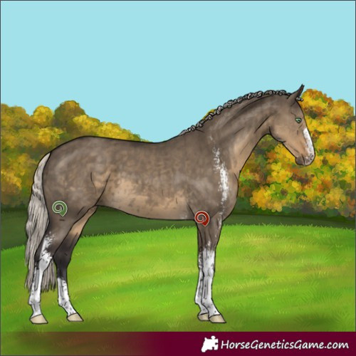 Horse Color:Silver Smoky Grullo Sabino Brindle 